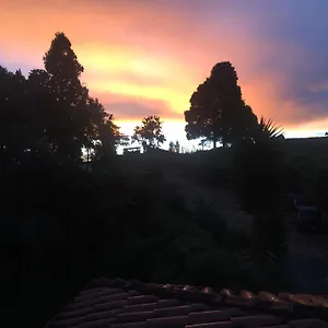 Solentiname Medellín